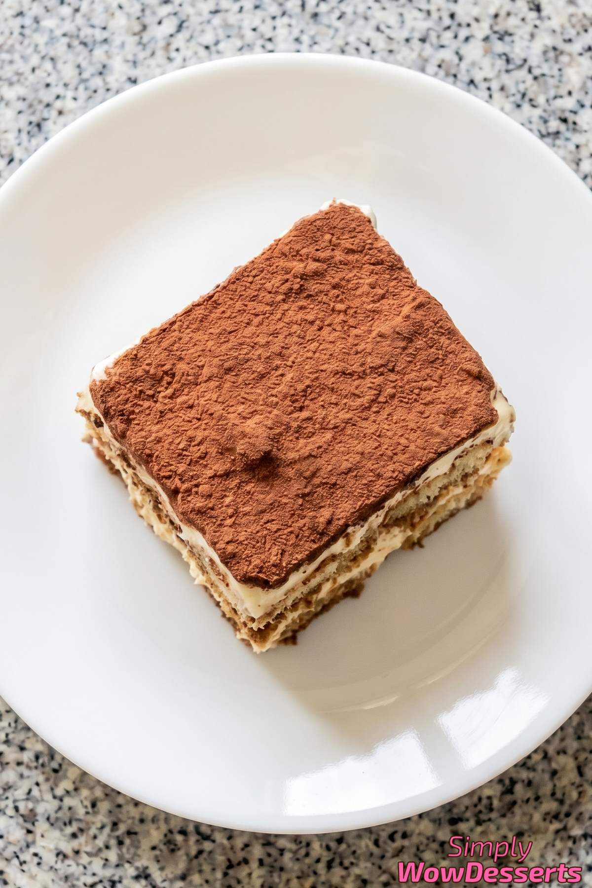 Velvety classic tiramisu on a plate