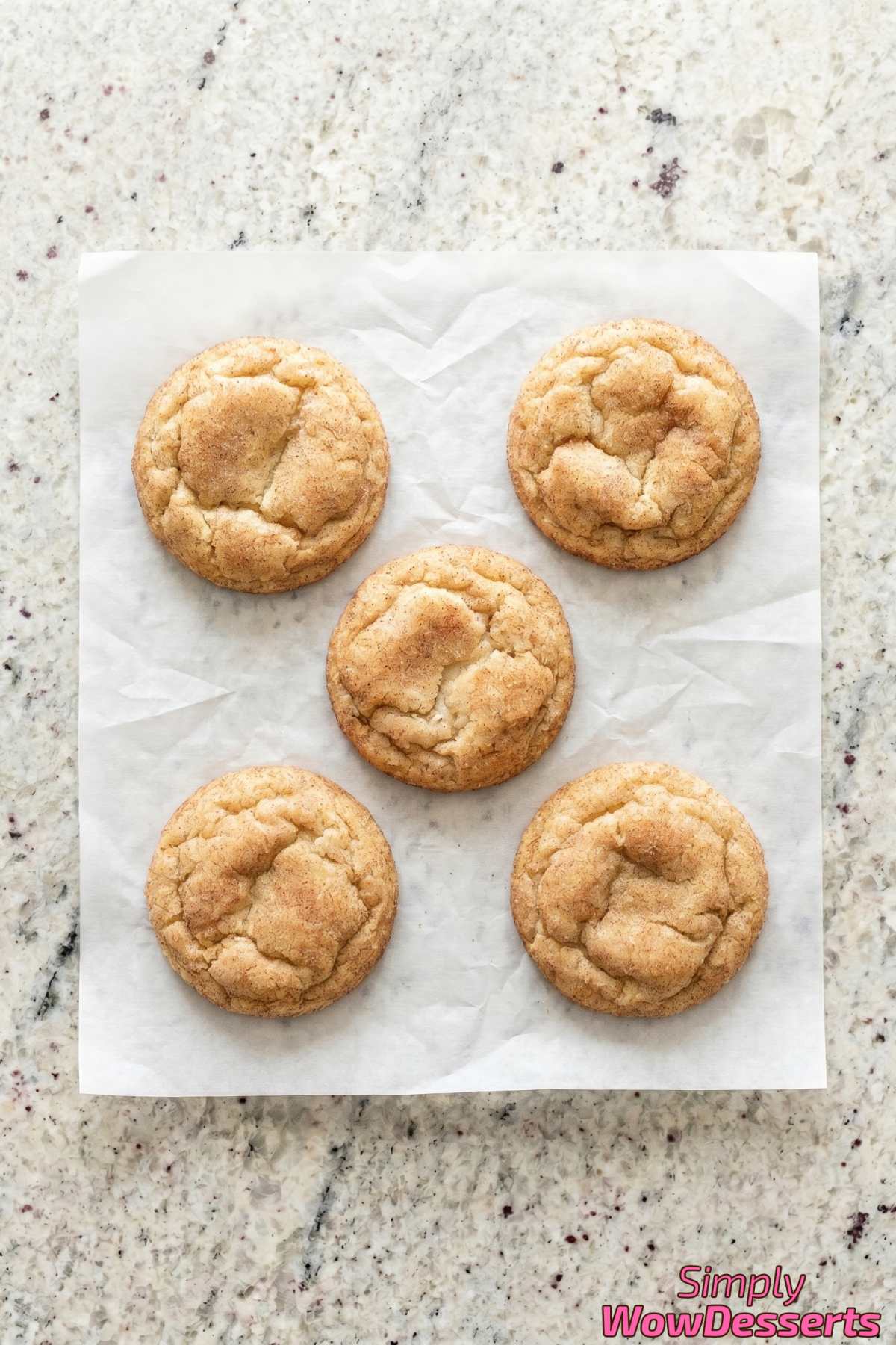 Fresh baked chewy snickerdoodle cookie